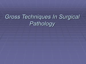 Gross Techniques In Surgical Pathology