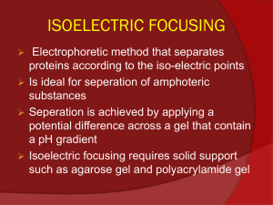 Isoelectric focusing