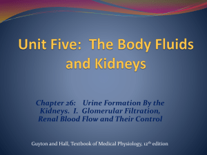 Physiologic Anatomy of the Kidneys