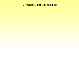Circulatory and Gas Exchange