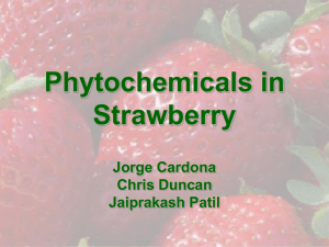 Phytochemicals in Strawberry