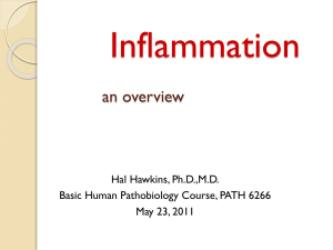 slides on inflammation - basic human pathobiology