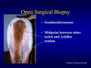 Open Surgical Biopsy
