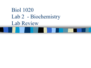 biol1020lab2review