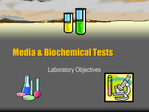 Media & Biochemical Tests