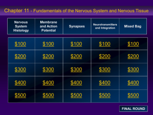 Nervous System Histology Membrane and Action Potential