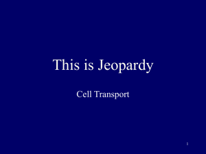 Cell Transport Jeopardy