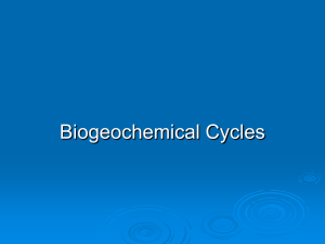 Biogeochemical cycles - Powell County Schools