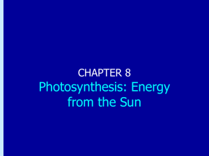 Chapter 8: Photosynthesis: Energy from the Sun