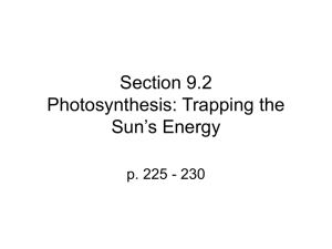 9.2 Photosynthesis powerpoint