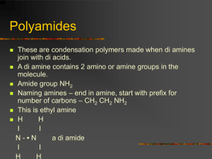Polymers Amiders - Clydebank High School
