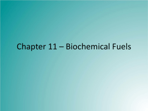 Chapter 11 - Biochemical Fuels