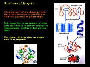 Enzymes revision