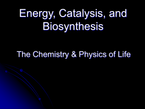 Energy, Catalysis, and Biosynthesis
