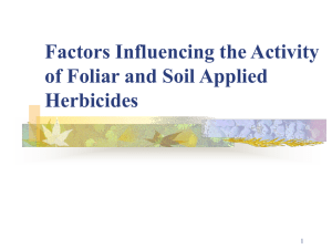 Factors Influencing the Activity of Foliar and Soil Applied