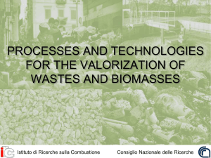 Processes and Technologies for the valorization of wastes and