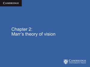 Marr`s theory of vision