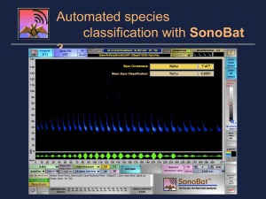 SonoBat 3 presentation