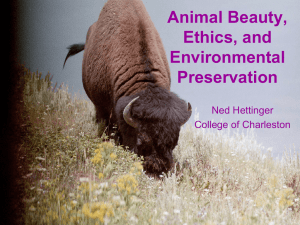 Animal Beauty, Ethics, and Environmental