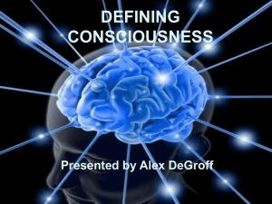 Consciousness Powerpoint