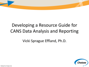 Developing a Resource Guide for CANS Data Analysis