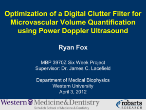 2012 Digital Clutter Filter for Power Doppler Ultrasound