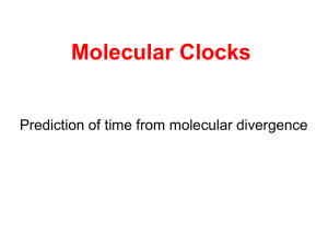 Molecular Clocks