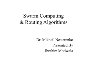 Swarm Computing & Routing algorithms