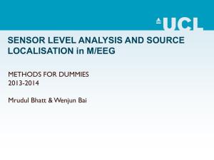 M/EEG: Statistical analysis and source localisation