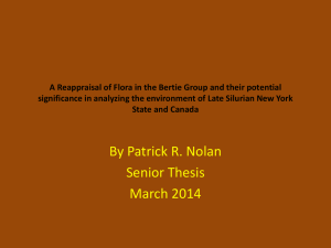 A Reappraisal of Flora in the Bertie Group PP