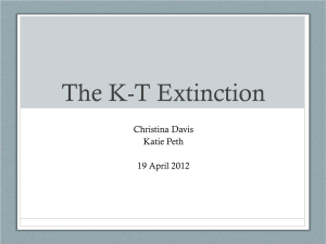 Christina and Katie`s K-T extinction slides
