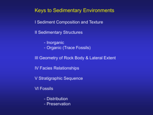 Sedimentary Environments - PowerPoint Show Text Slides