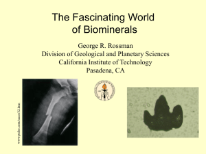 Biominerals00 - California Institute of Technology