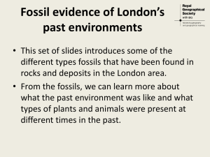 Fossil evidence of London`s past environments