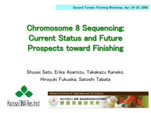 Chromosome 8 update - Sol Genomics Network
