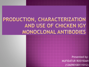Production, Characterization and Use of IgY Chicken Monoclonal