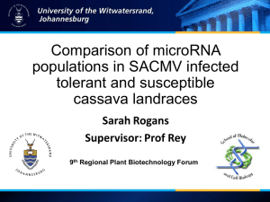Comparison of microRNA populations in South Africa