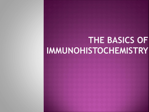 The basics of immunohistochemistry principle
