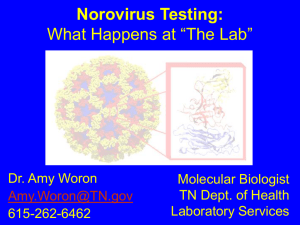 Norovirus Testing