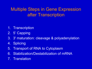 Post-transcriptional Processes II: Pre