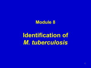 Module 8 Identification of MTB