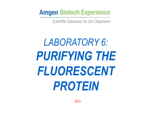 abe_lab_6_protein_purification
