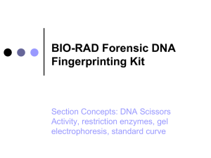 BIO-RAD_DNA_fingerprinting