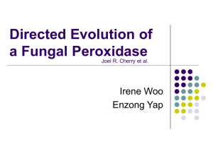 Directed Evolution of a Fungal Peroxidase