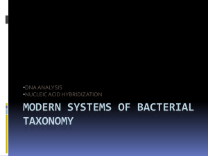 Modern System of Bacterial Taxonomy