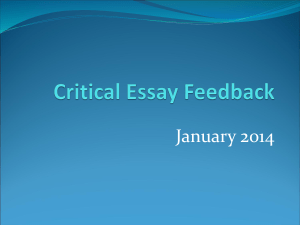 Critical Essay Feedback