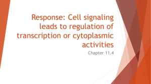 11.4 Response: Cell signaling leads to regulation of transcription or