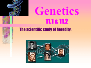 Genetics - Notes #1