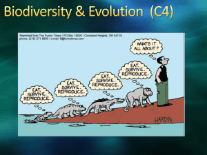 C4 Evolution & Biodiversity PPT