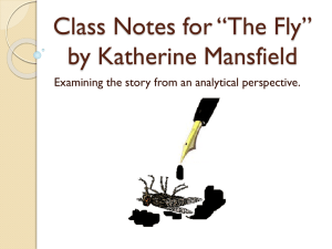 Class Notes - The Fly